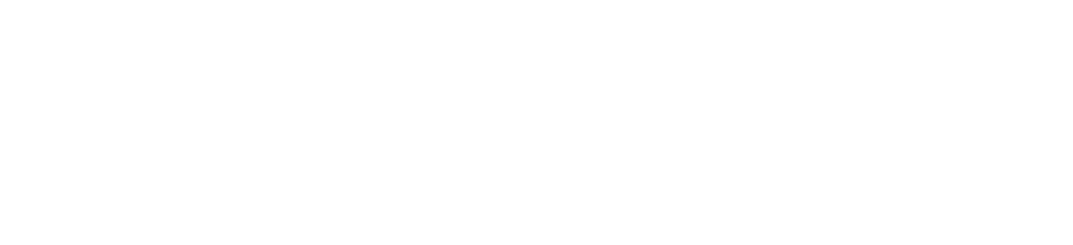 logo de website